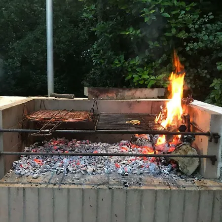 فيلة Silvana فاسانو